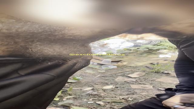 Vi ele entrando no terreno e fui atrás 