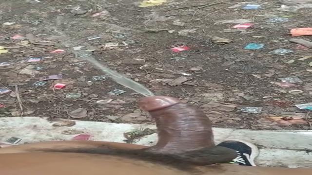 Mijao 