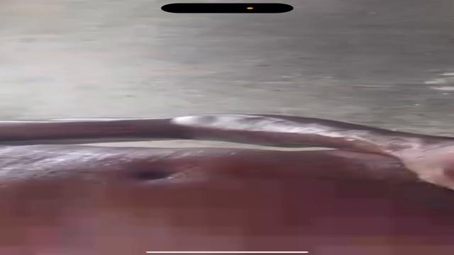 Pedreiro inédito 57 anos gozou no quintal de casa e ...