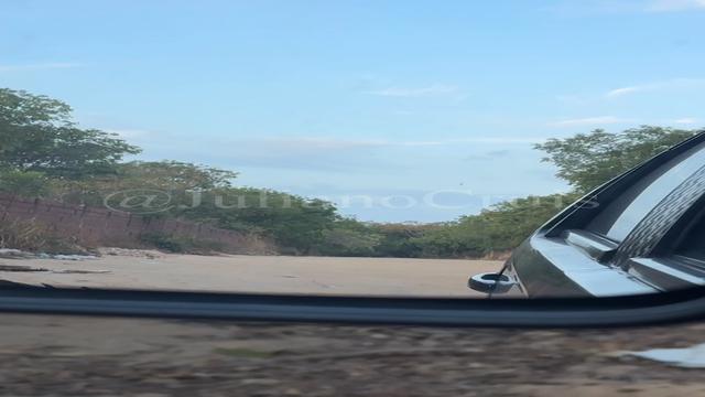 260 - Matagal do Cambeba. Nem tudo consigo gravar! C...