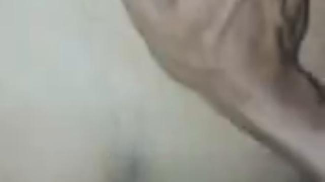 Dindin e amigo novo do tt