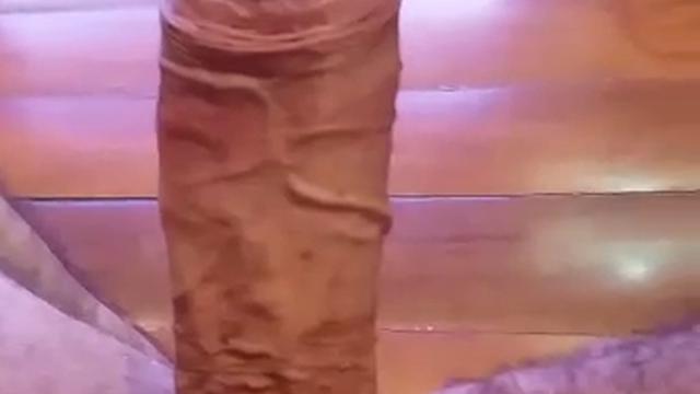 BRINCANDO COM MEU PICÃO