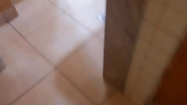 Rolezinho