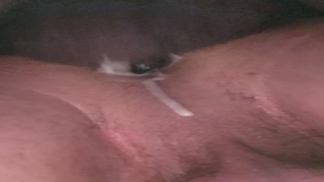 Urso flamenguista disse q estava dias sem gozar e qu...