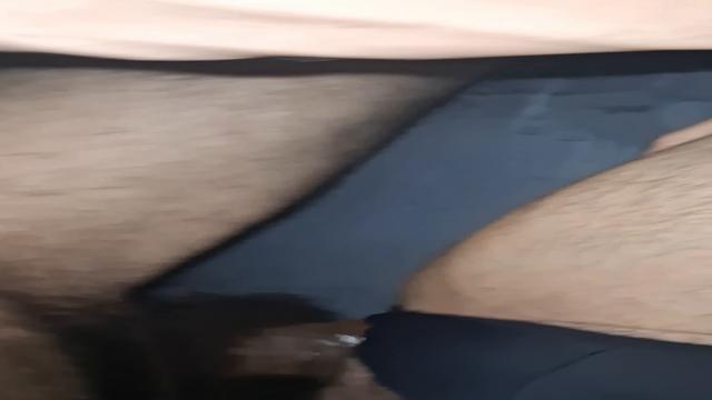 Novinho leitado