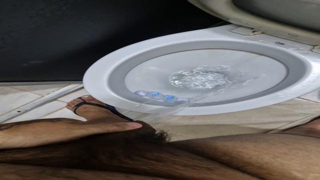 Video 39 - Mijao para vocês