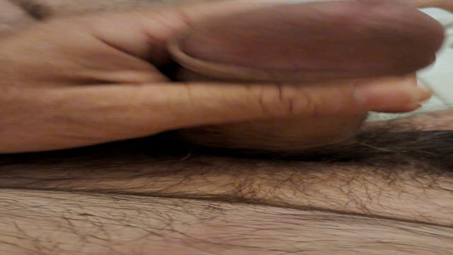 ACORDANDO DE PICÃO PREGUIÇOSO BABAO VEM ORDENHAR 