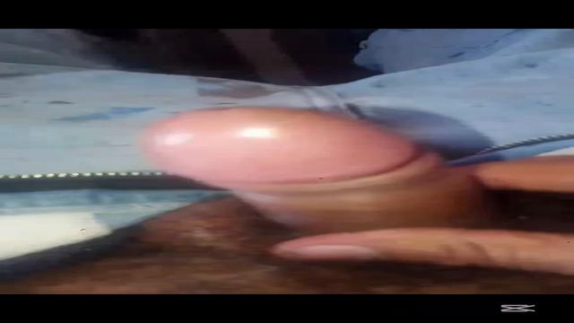 Motorista de ônibus primeira vez dele aqui rola boa ...