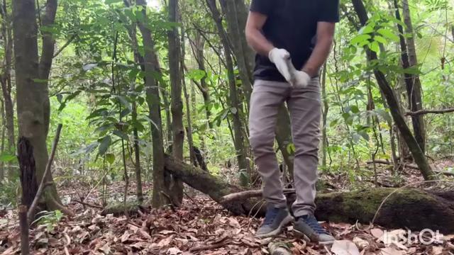 Depois do plantio, relaxei