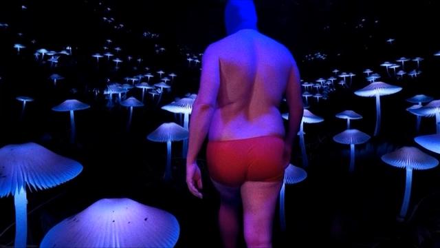 COGUMELO (VIDEOCLIPE)