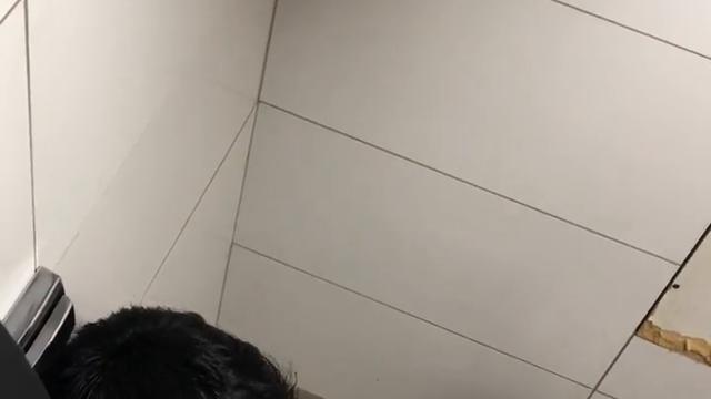 Punheta no banheiro
