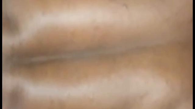 Compilação de leitadas