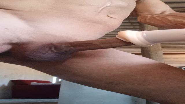 Brincando 