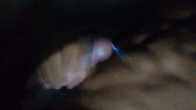 Leite direto da fonte