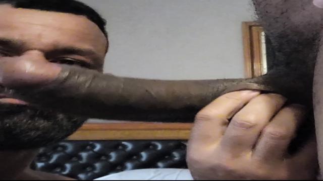 Estripador Cavalão 27CM