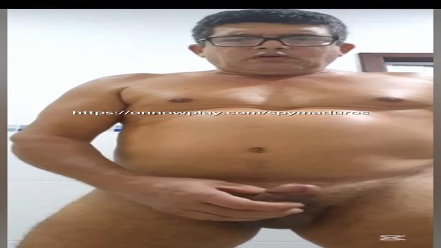 Papai parrudo de óculos