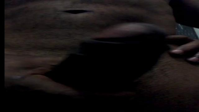 WEBCAM #81