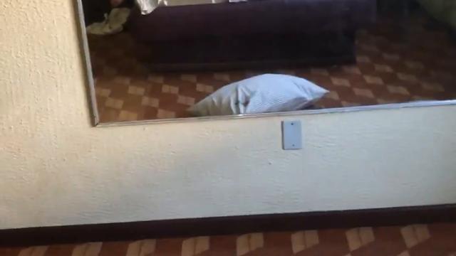 Caralho, gozei muito gostoso