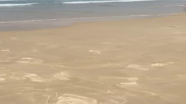Rola na praia 