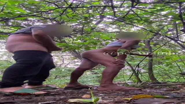 PCD - TRILHA - CHUVA