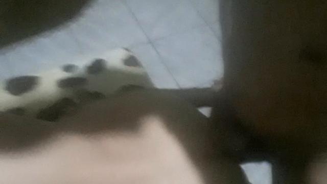 DINDIN X FRENTISTA CASADO