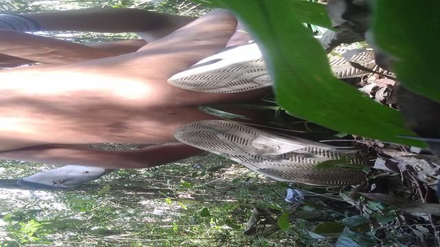 Bora fude na floresta kk