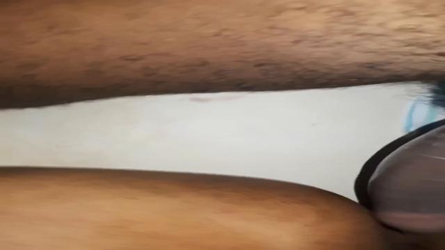 Meu casado favorito part 2