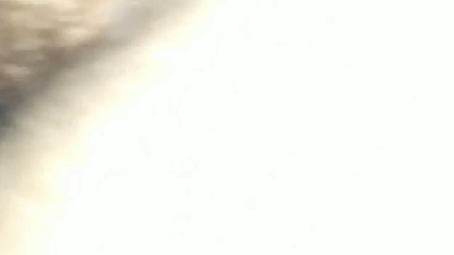 Levei Meu Primo Pra Conhecer Um Cinemão