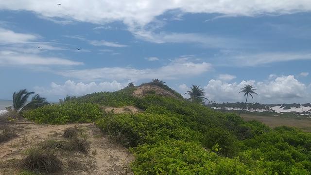 Sexo oral na praia de nudismo