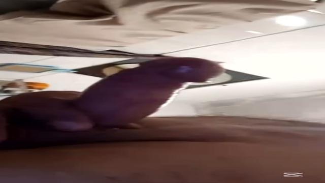 Esse coroa trabalha de segurança no shopping rola gr...