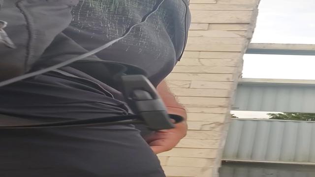 Bulge