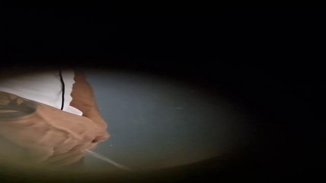 Spy