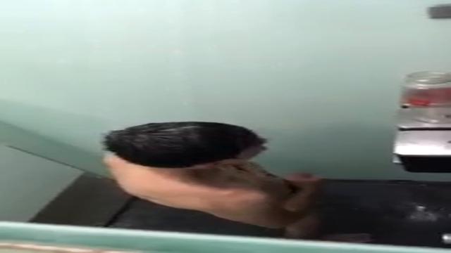 Primo no banho