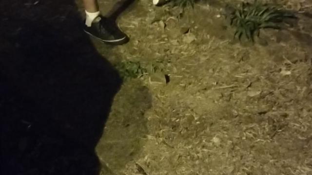 PROVOCANDO OS MACHOS NA RUA