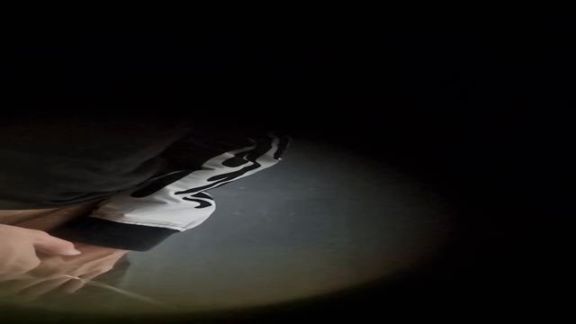 Spy