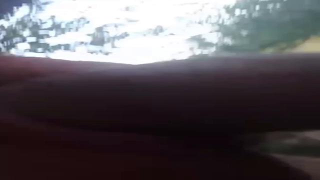 Papai da roça doído pra gozar tem horas dele aqui no...