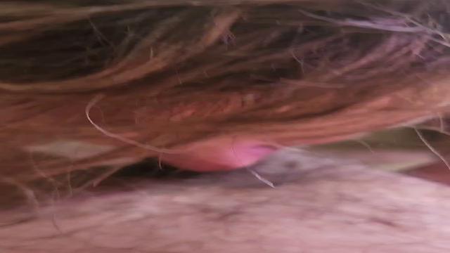 Mamando e servindo 