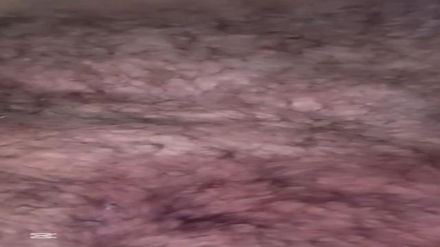 Um pouco mais do parrudo peludo do vídeo anterior inédito claro 