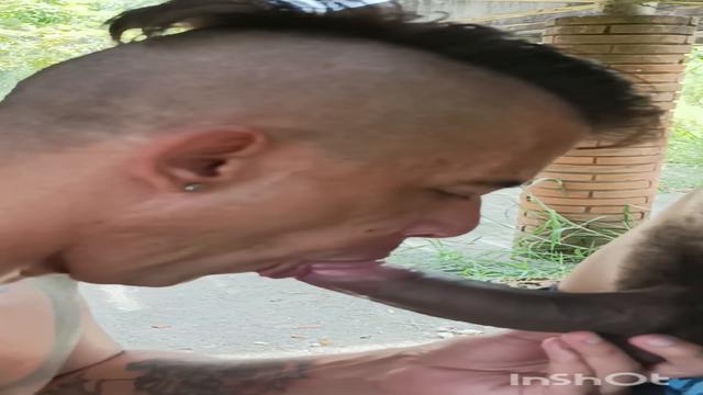 Dois pauzudo e um rabudo
