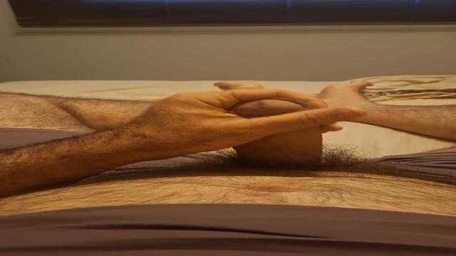 VEM ACORDAR O MEU PICÃO 