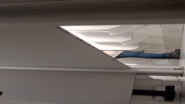 Amo quando eles balançam o pau 