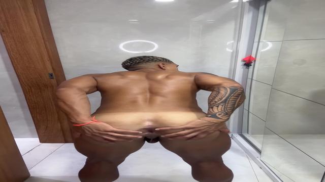 Visual novo 