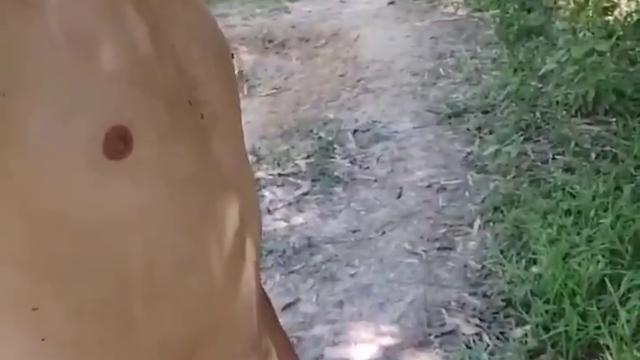 Dando uma mijada na trilha!