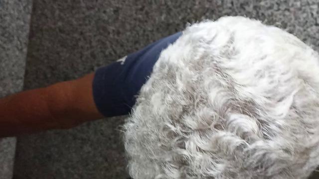 Mijando