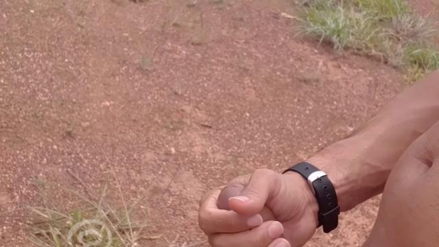 A natureza me inspira