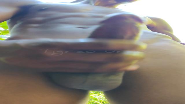 Whoredom in Salvador (vacation), bro, what hot Bahia...