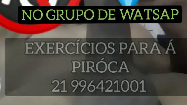 PIRÓCA EM FAZES DE IDADA, EM UM SÓ MOMENTO, SOU ADULTO.