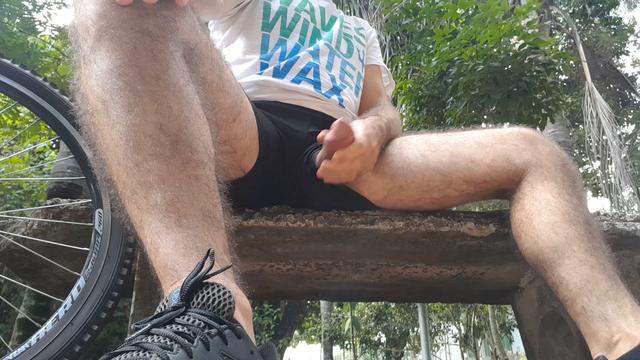 shorts novo