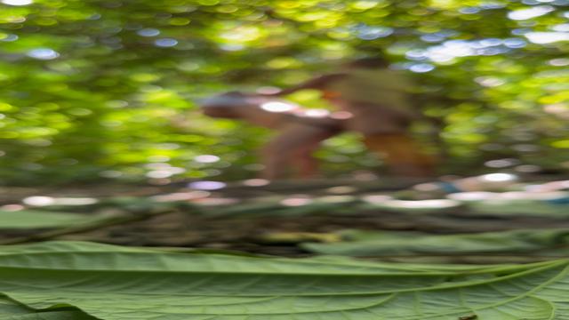 Mas uma vez a câmera me traiu não focou nada o vídeo...