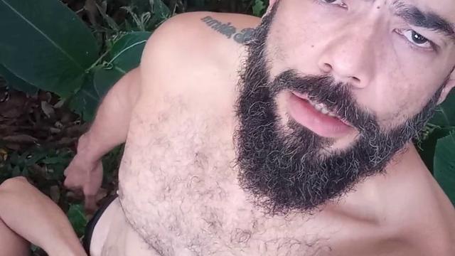 Cadela mamando mato ????